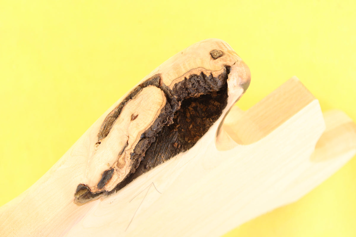 MS BODY 2pc Alder 1.9 Kg - 548151 – Boobooguitars