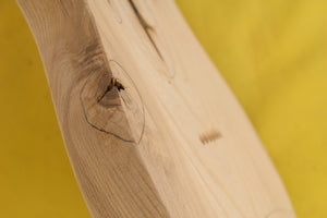 TC BODY 3pc Swamp Ash 2.6 Kg - 546409