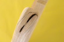 Load image into Gallery viewer, SC BODY 3pc Swamp Ash 2.1 Kg - 547055