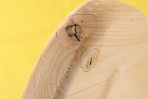 SC BODY 2pc Alder 1.9 Kg - 545556