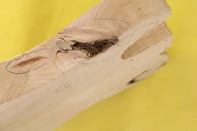 Load image into Gallery viewer, TC BODY 2pc Alder 2.2 Kg - 546461