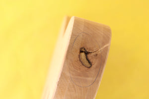 TC BODY 1pc Alder 2.1 Kg - 546492