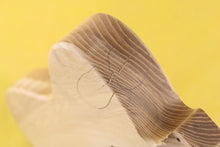 Load image into Gallery viewer, TC BODY 2pc American Ash 3.4 Kg - 548045