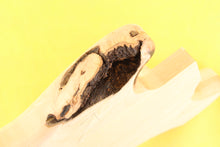 Load image into Gallery viewer, MS BODY 2pc Alder 1.9 Kg - 548151