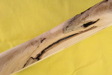 Load image into Gallery viewer, SC BODY 1pc Alder 2 Kg - 550482
