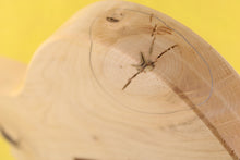 Load image into Gallery viewer, TC BODY 2pc Alder 2 Kg - 548366