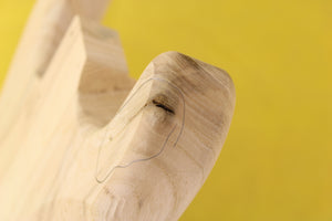 SC BODY 2pc Swamp Ash 2.1 Kg - 544023