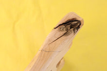 Load image into Gallery viewer, MS BODY 2pc Alder 1.9 Kg - 547192