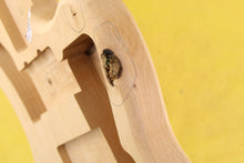 Load image into Gallery viewer, JM BODY 2pc Alder 2 Kg - 547550