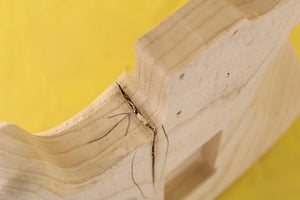 SC BODY 1pc Swamp Ash 1.6 Kg - 546829