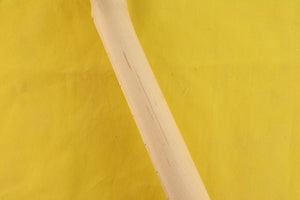 SC Maple Guitar Neck - 703918